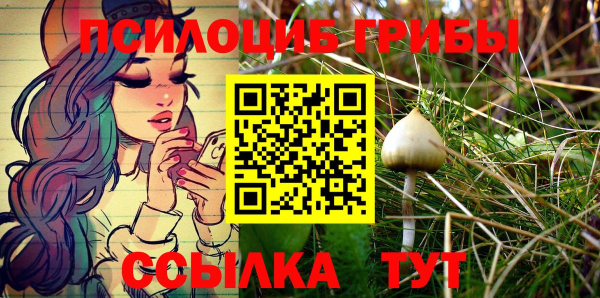 Галлюциногенные грибы Psilocybe  Вход с VPN  Севастополь  Галлюциногенные грибы Psilocybe 
