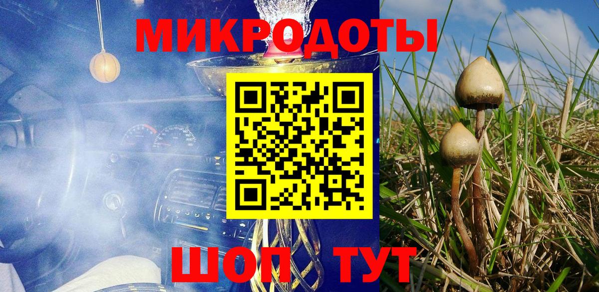 Галлюциногенные грибы мицелий Севастополь